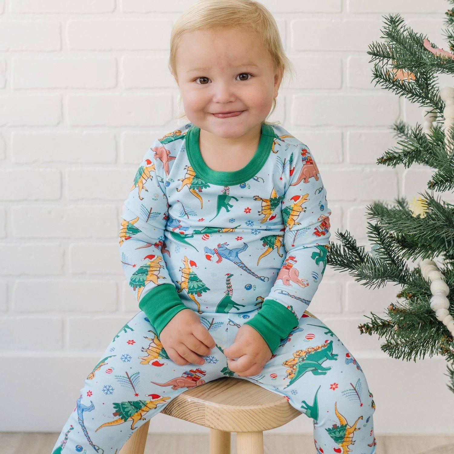 Dino Christmas Long Pajamas