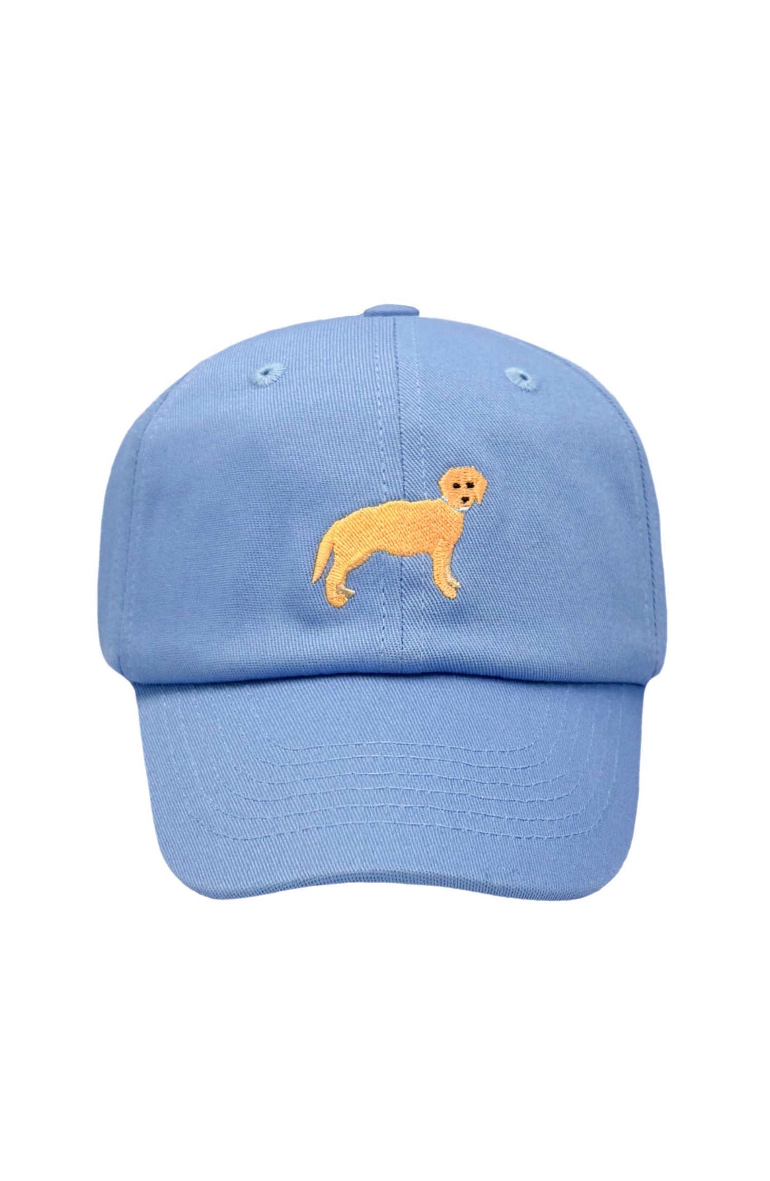 Golden Lab Retriever Dog Baseball Hat (Baby, Youth)