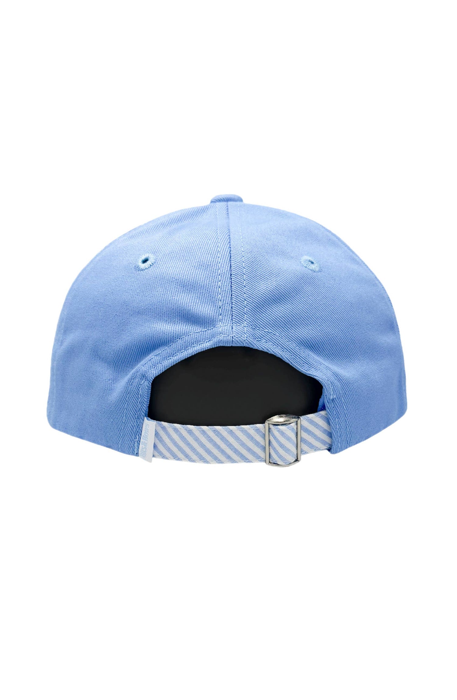 Golden Lab Retriever Dog Baseball Hat (Baby, Youth)