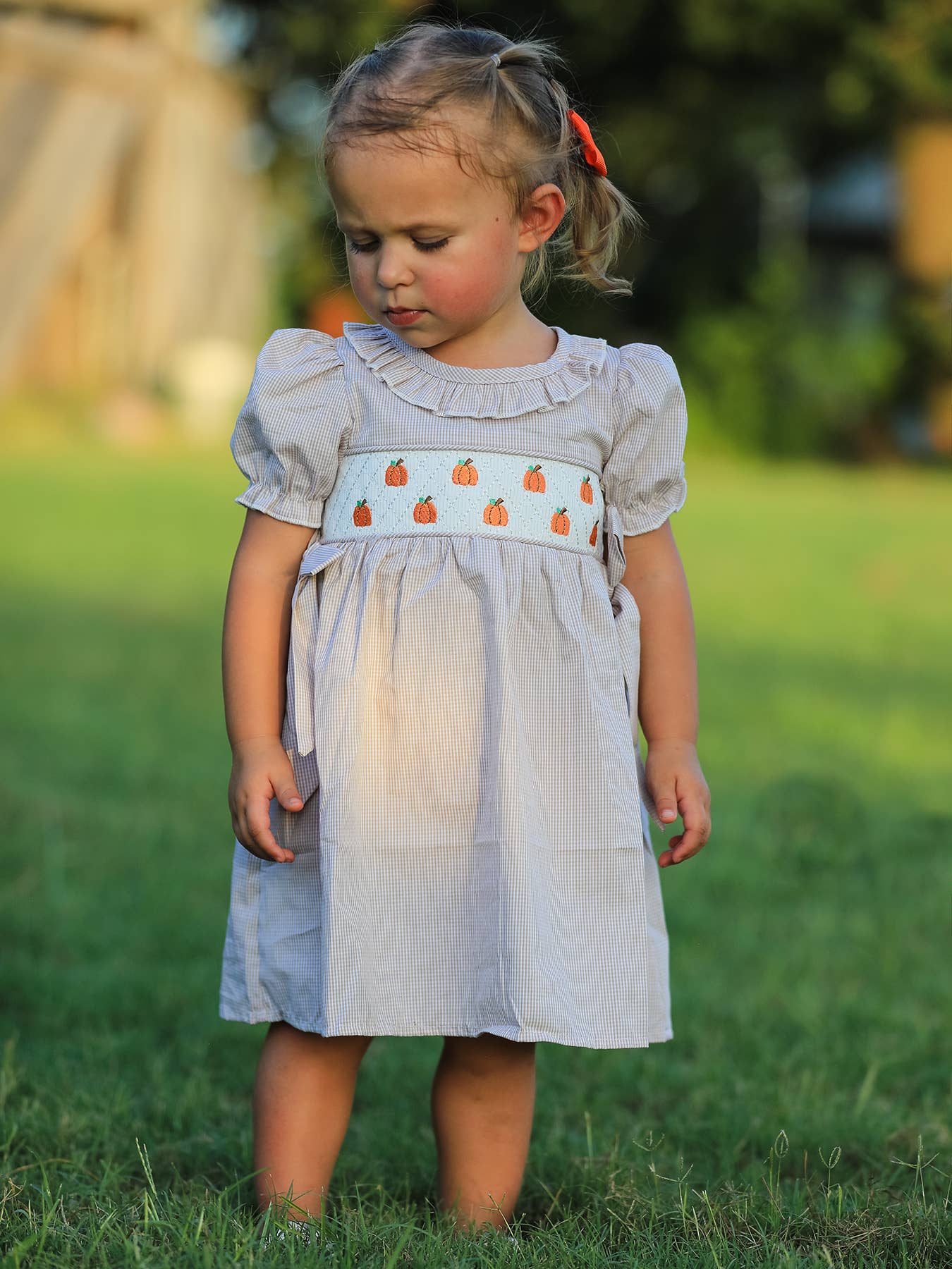 Halloween & Thanksgiving Pumpkin Embroidery Smock Plaid Girls Dress