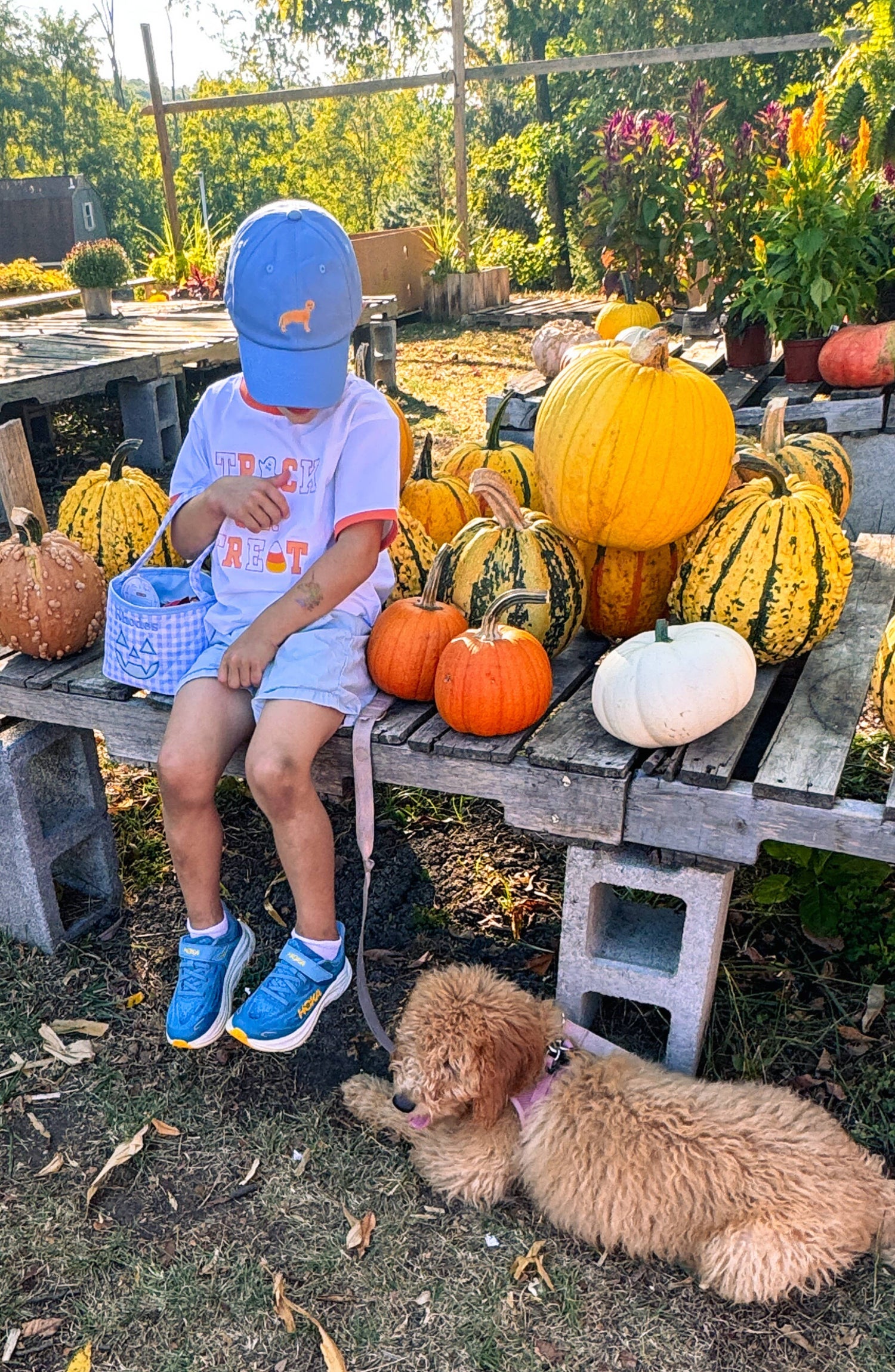 Golden Lab Retriever Dog Baseball Hat (Baby, Youth)