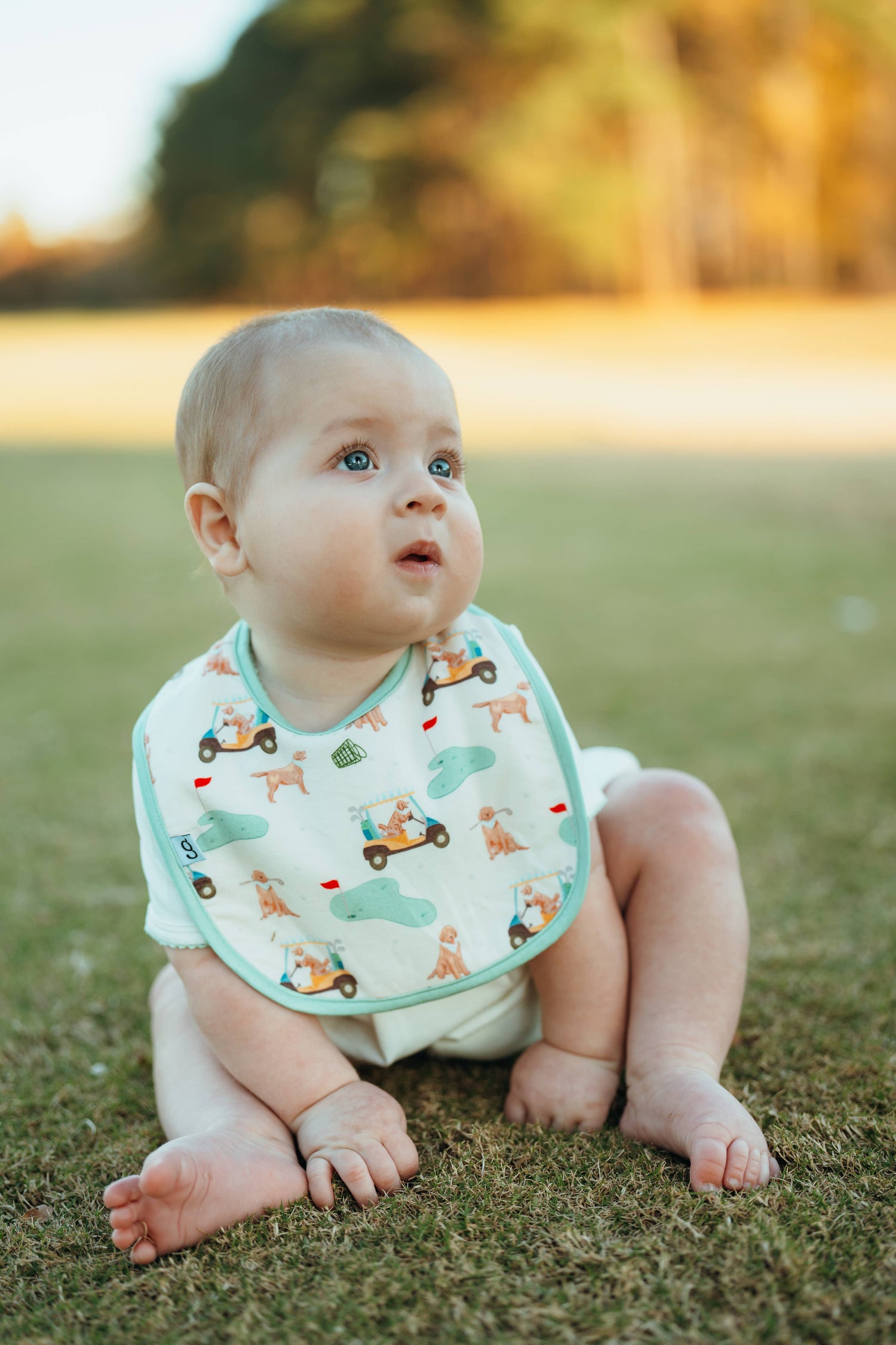 Barks & Birdies (Golf Dogs) Bib Set